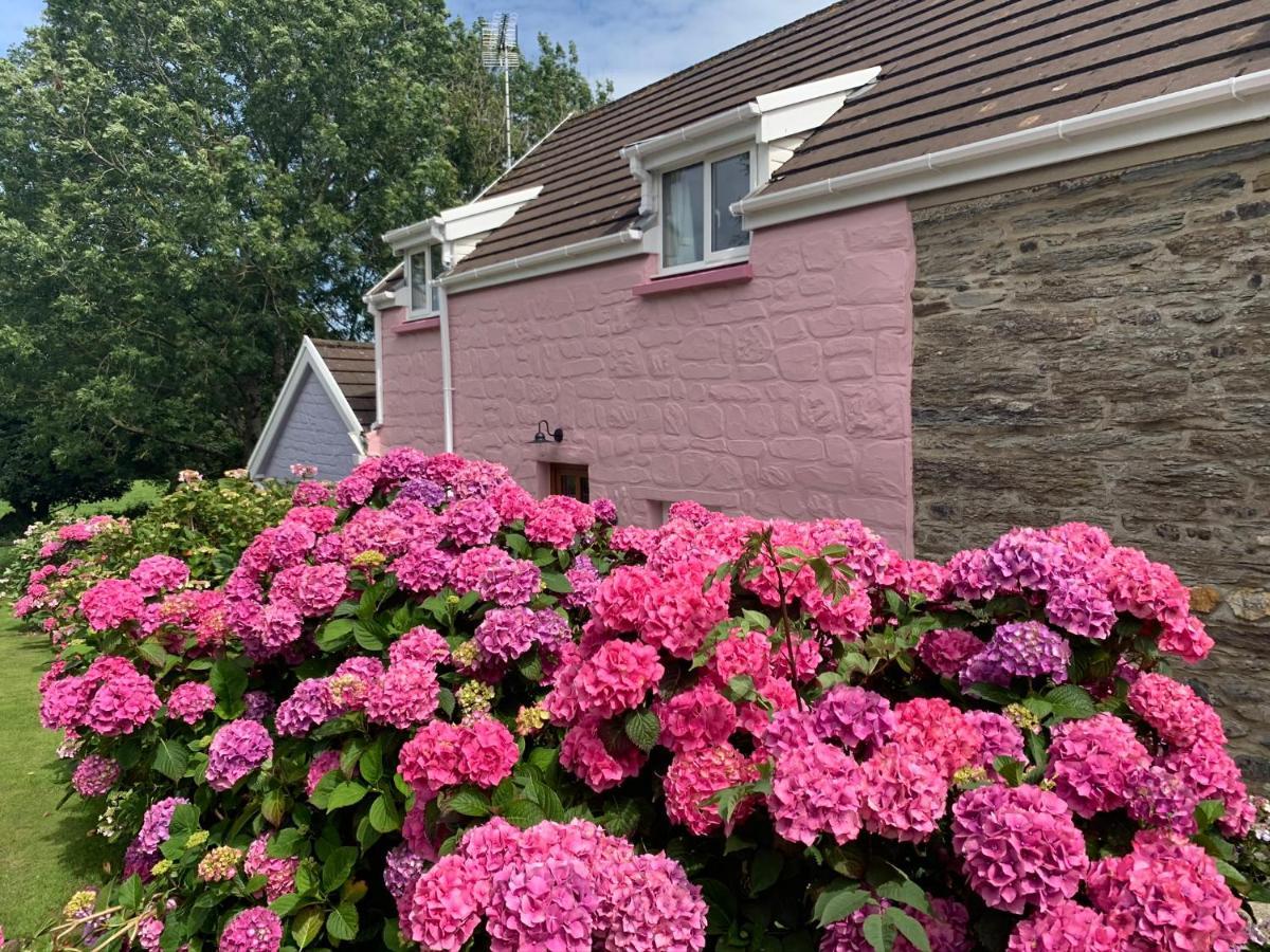 Canllefaes Cottages Cardigan Kültér fotó